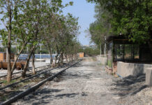 В Ростове реконструкцию парка «Дружба» планируют завершить в 2028 году парк Дружба // фото: пресс-служба Губернатора Ростовской области