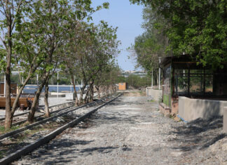 Юрий Слюсарь рассказал про перепроектирования парка «Дружба» на Северном в Ростове парк Дружба // фото: пресс-служба Губернатора Ростовской области