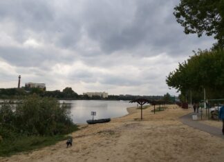 Реконструкция парка «Дружба» в Ростове станет дешевле на 143 млн рублей парк "Дружба" // фото: Ольга Медведева