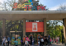 На содержание и ремонт ростовского зоопарка правительство потратит больше миллиарда рублей Ростовский зоопарк //Фото: Анастасия Чернявская