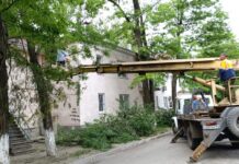 Штормовой ветер вызвал 54 происшествия в Ростове ликвидация последствий штормового ветра // фото: сайт Администрации Ростова-на-Дону