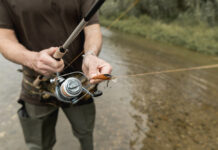 Донские полицейские спасли около 9 тысяч раков в ходе рейда против браконьеров рыбалка // фото: Изображение от Freepik на Freepik