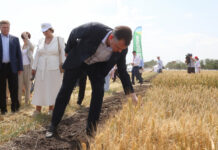 В 10 районах Ростовской области введут ЧС из-за засухи Юрий Слюсарь в поле // фото: donland.ru