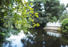 В Миллеровском районе проверили ограничение доступа к пруду на реке Жуковка пруд // фото: Изображение от awesomecontent на Freepik