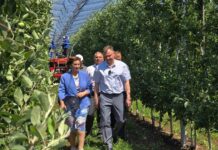 Слюсарь проинспектировал агрофирму «Рассвет» в Ростовской области Юрий Слюсарь в агрофирме Рассвет // фото: Telegram-канал Юрия Слюсаря