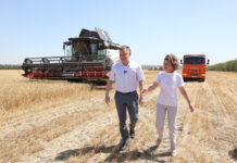 Донские депутаты просят ввести мораторий на банкротство для аграриев: помогут ли эти меры? Юрий Слюсарь на проверке урожайности // фото: Пресс-служба Правительства Ростовской области