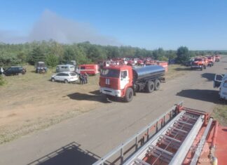 Площадь пожара в Каменском района выросла до 427 га
