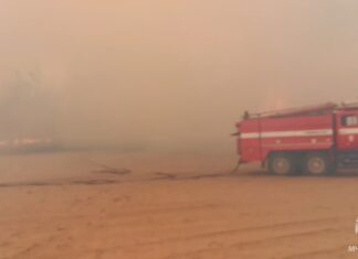 В Каменском лесничестве локализовали пожар пожар в Каменском лесничестве локализован // фото: пресс-служба МЧС по Ростовской области