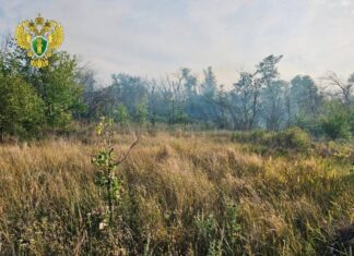 Прокуратура начала проверку из-за лесного пожара в Багаевском районе в Багаевском районе загорелась сухая растительность // фото: пресс-служба областной прокуратуры