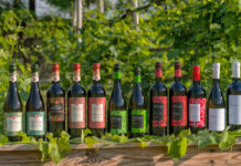 Винодельня «Ведерниковъ» расширяет посадки автохтонных сортов винограда вина Ведерниковъ // фото: сайт виондельни Ведерниковъ, vedernikovwine.ru