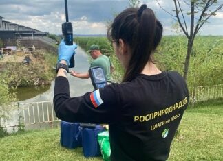 В Батайске очистили водоотводный канал только после вмешательства приставов в водоотводном канале Батайска обнаружили вредные вещества // фото: пресс-служба ГМУ ФССП России