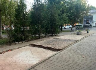 В Ростовской области демонтировали более 100 незаконных торговых точек пустыри на месте незаконных ларьков // фото: пресс-служба Правительства Ростовской области