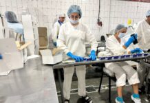 Испытание на прочность: как «Богатырский край» борется за честное имя Работа на молокозаводе «Богатырский край» организована на основе принципов ХАССП //Фото Екатерина Косинов, "Наше Время".