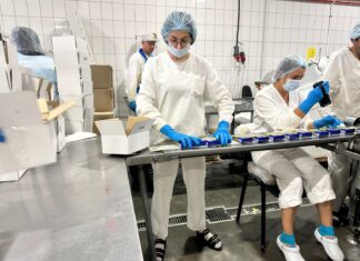 Испытание на прочность: как «Богатырский край» борется за честное имя Работа на молокозаводе «Богатырский край» организована на основе принципов ХАССП //Фото Екатерина Косинов, "Наше Время".