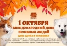 1 октября Ростовский зоопарк смогут бесплатно посетить жители от 60 лет 1 октября Ростовский зоопарк смогут бесплатно посетить жители от 60 лет // фото: пресс-служба Ростовского зоопарка