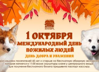 1 октября Ростовский зоопарк смогут бесплатно посетить жители от 60 лет 1 октября Ростовский зоопарк смогут бесплатно посетить жители от 60 лет // фото: пресс-служба Ростовского зоопарка