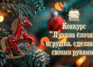Ростовский зоопарк запустил конкурс авторской елочной игрушки Конкурс "Лучшая елочная игрушка" // Фото с официального сайта Ростовского зоопарка