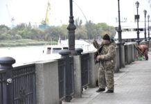 Восстановившую популяцию в Дону рыбу шемаю ловить по-прежнему запрещено Ловлю шемая планируют разрешить только для рыбаков-любителей // Фото: Дмитрий Кутепов, КП-Ростов-на-Дону