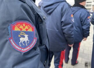 Казаки и народные дружинники помогают полиции поддерживать порядок в Ростовской области Казаки Всевеликого войска Донского //Фото Екатерина Булатова, Regnum