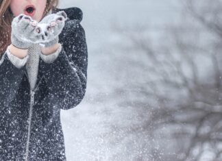 В Ростове коммунальщики готовятся к сильной метели