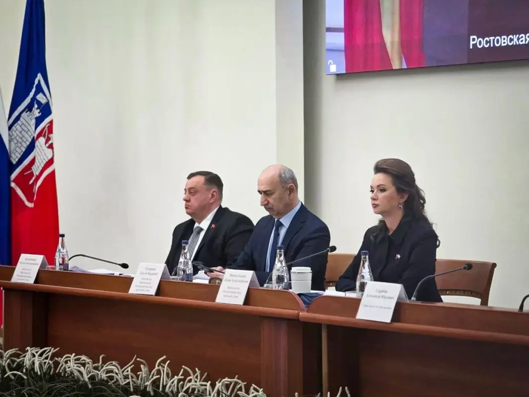 Депутаты Ростовской-на-Дону городской Думы узнали, как реализовывалась муниципальная программа сохранения и развития культуры в городе //Фото: пресс-служба Гордумы Ростова-на-Дону