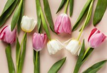 Пушкинская улица в Ростове утопает в тысячах распустившихся тюльпанов