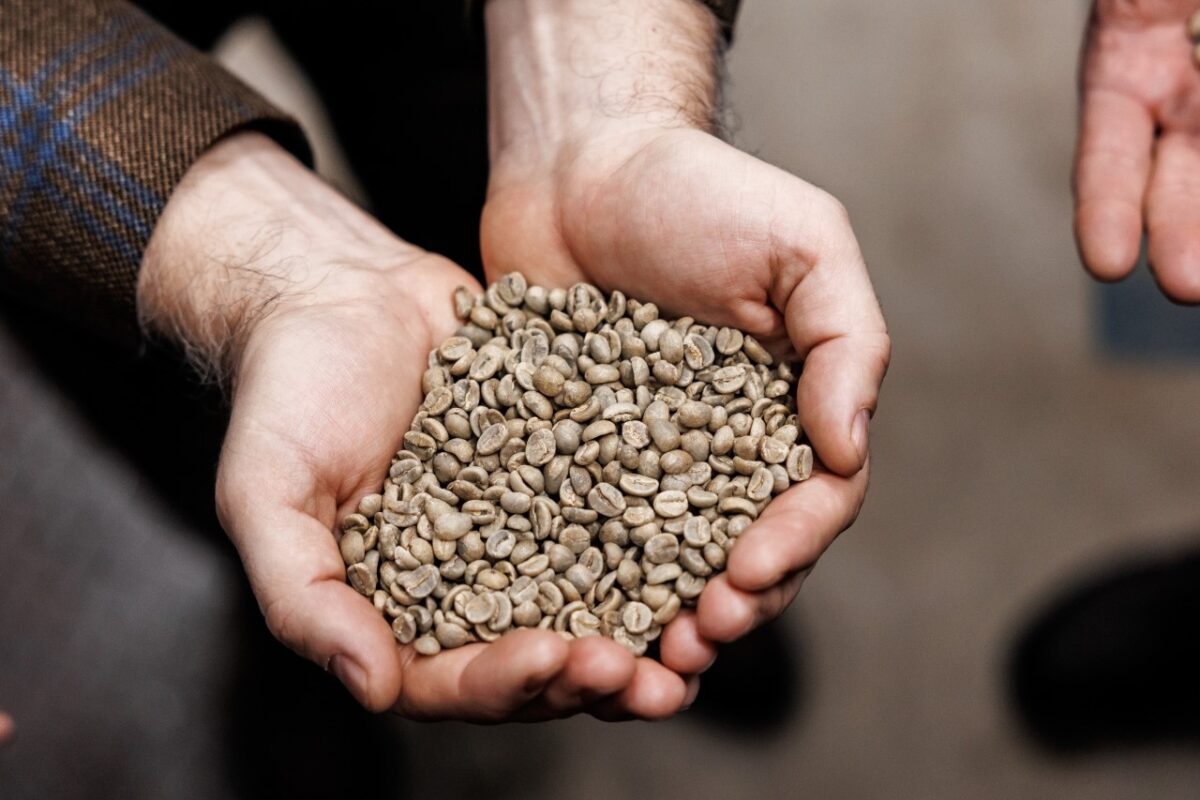 Необжаренные зерна тоже проходят несколько этапов: их разламывают, очищают и высушивают//Фото: Евгений Чистяков