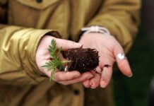 Как работает креативный бизнес в Ростовской области: рассказываем на примерах Поддержка и развитие креативных индустрий - приоритет для Ростовской области //Фото: Евгений Чистяков