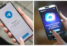 Ростовские предприниматели ищут баланс между MAX и Telegram: исследование Telegram или MAX //Коллаж Городской репортер