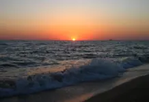 Марат Хуснуллин сообщил о ходе строительства Азовского кольца Марат Хуснуллин сообщил о ходе строительства Азовского кольца