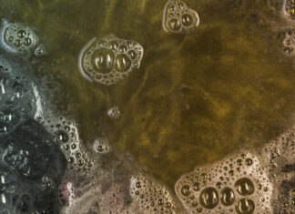 В Дону под Семикаракорском резко выросло содержание нефтепродуктов и тяжёлых металлов //Фото:freepik.com