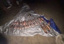 Браконьеров на Дону и Цимлянском водохранилище задержали полицейские //Фото: Пресс-служба УТ МВД России по СКФО