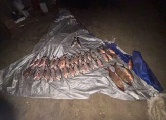 Браконьеров на Дону и Цимлянском водохранилище задержали полицейские //Фото: Пресс-служба УТ МВД России по СКФО