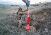 Донские сапёры МЧС уничтожили две авиабомбы времён Великой Отечественной войны в Волгоградской области //Фото: пресс-служба ГУ МЧС России по Ростовской области