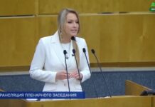 Ростовчан хотят обязать играть только в игры с традиционными ценностями //Скриншот выступления депутата