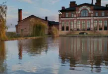 Количество агротуристов в Ростовской области в 2025 году возросло на 75%