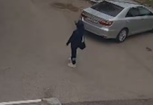 В Ростове женщина с оружием открыла стрельбу по бездомным собакам на улице Стальского