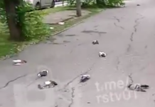В Ростове голуби падают с неба замертво на Ларина