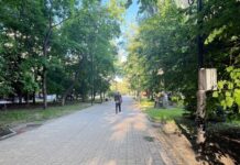 В Ростове на Пушкинской убрали ограждения //Фото: МК Ростов